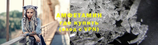 прущие грибы Баксан