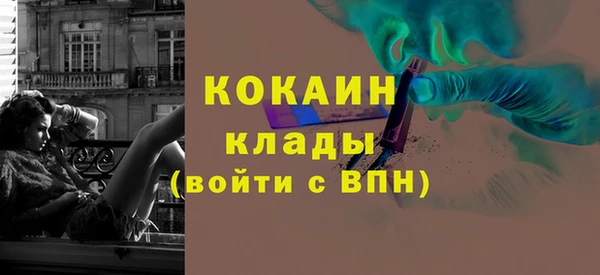 прущие грибы Баксан