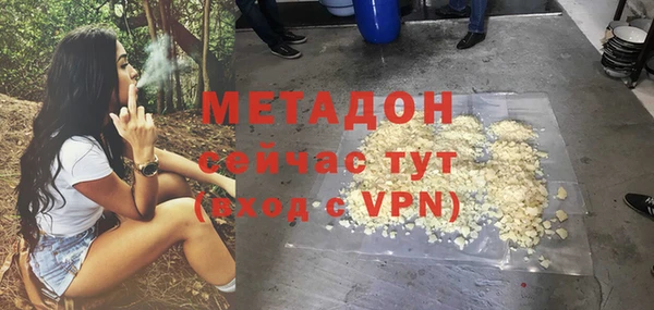 прущие грибы Баксан