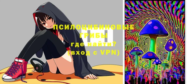 прущие грибы Баксан