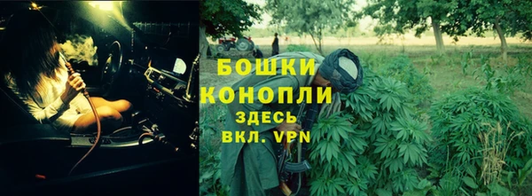 ПСИЛОЦИБИНОВЫЕ ГРИБЫ Белоозёрский