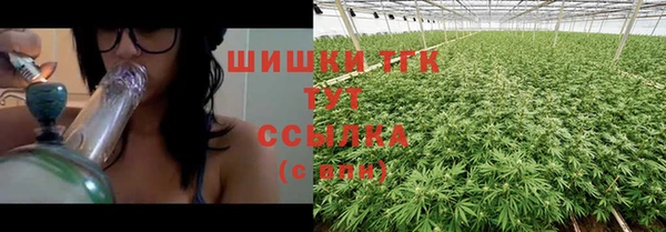 прущие грибы Баксан