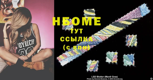 прущие грибы Баксан