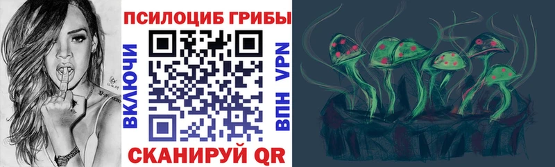 блэк спрут зеркало  Краснокаменск  Псилоцибиновые грибы Magic Shrooms 